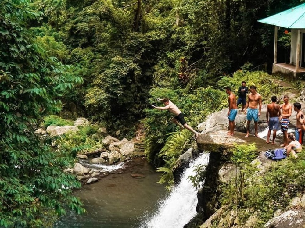 Munduk/Lovina: Waterfall, Snorkeling & Dolphin Watching Tour | ®ExcursionMania