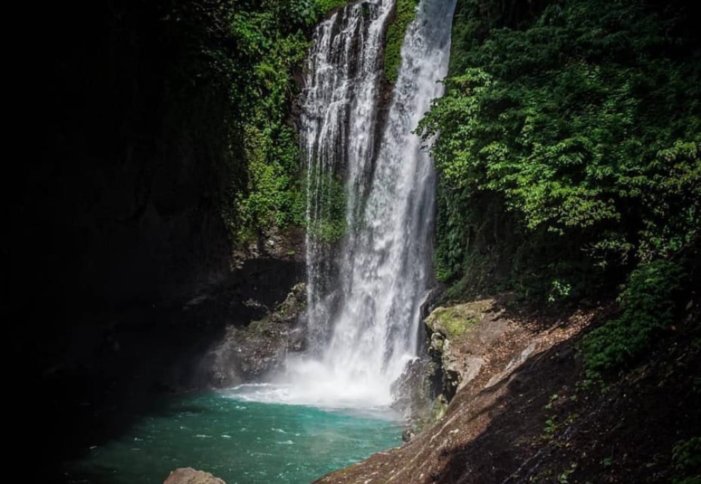 Munduk/Lovina: Waterfall, Snorkeling & Dolphin Watching Tour | ®ExcursionMania
