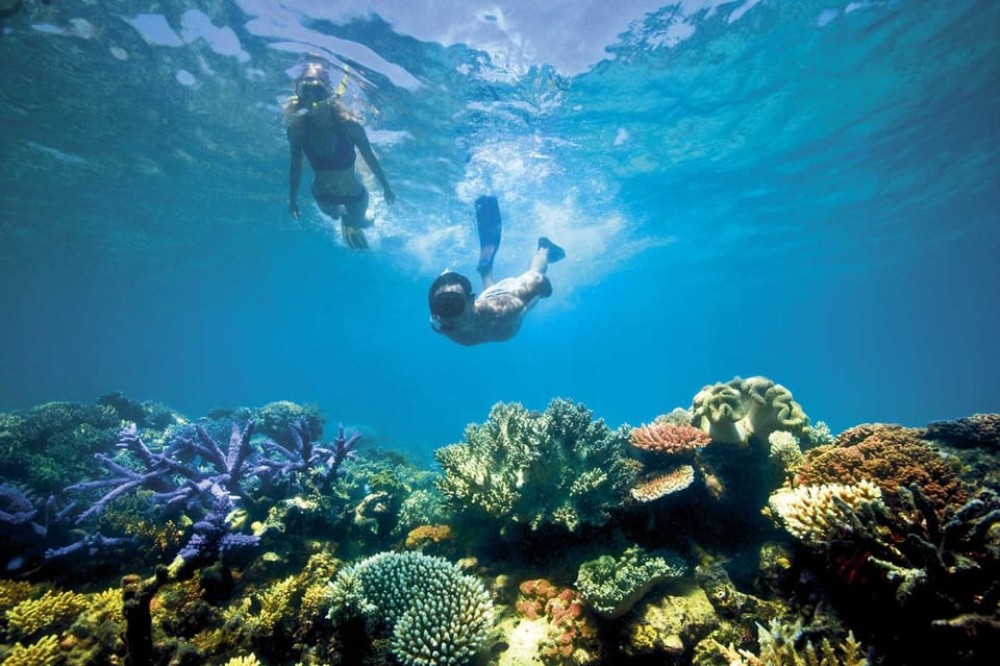 Munduk/Lovina: Waterfall, Snorkeling & Dolphin Watching Tour | ®ExcursionMania