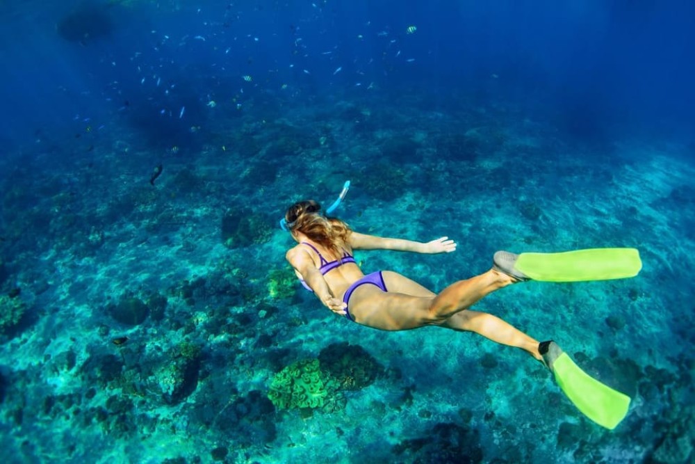 Munduk/Lovina: Waterfall, Snorkeling & Dolphin Watching Tour | ®ExcursionMania