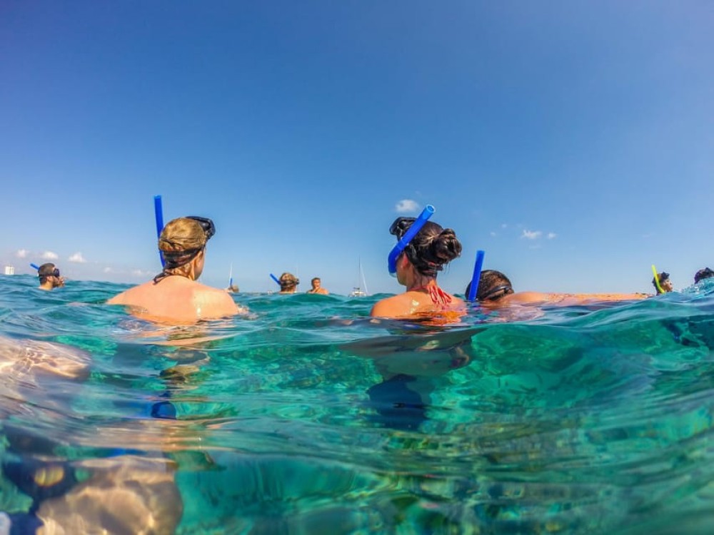 Munduk/Lovina: Waterfall, Snorkeling & Dolphin Watching Tour | ®ExcursionMania