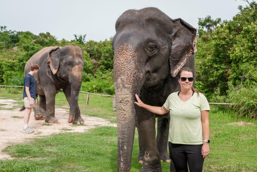 Kulen Elephant Forest Tour with Hotel Pick-up & Drop off | ®ExcursionMania
