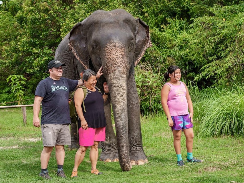 Kulen Elephant Forest Tour with Hotel Pick-up & Drop off | ®ExcursionMania