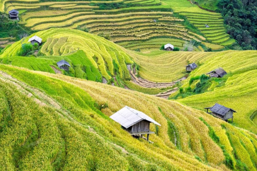 From Hanoi: 2-Day 2-Night Sapa Tour By Overnight Train | ®ExcursionMania