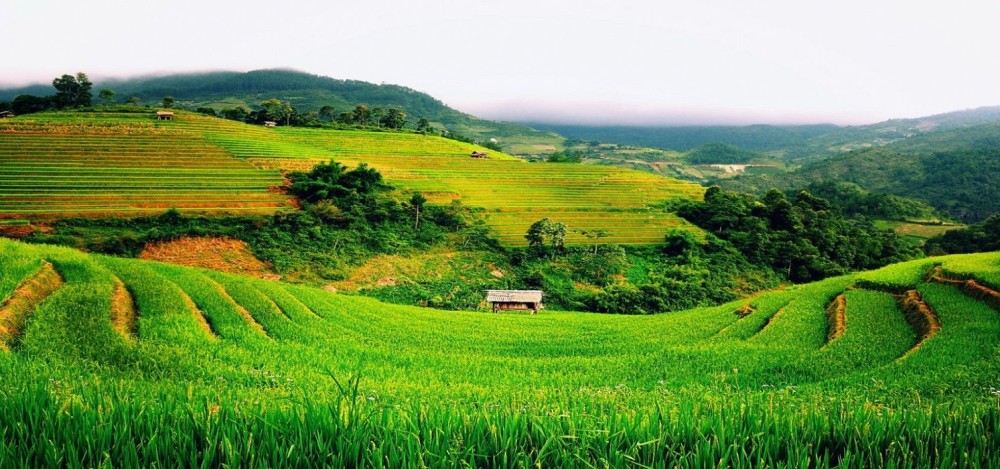 From Hanoi: 2-Day 2-Night Sapa Tour By Overnight Train | ®ExcursionMania