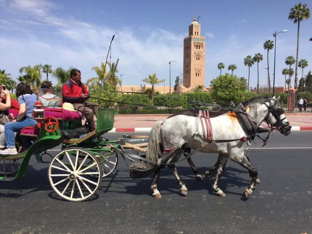 Marrakech: Bahia Palace, Saadian Tombs, & Koutoubia Mosque | ®ExcursionMania