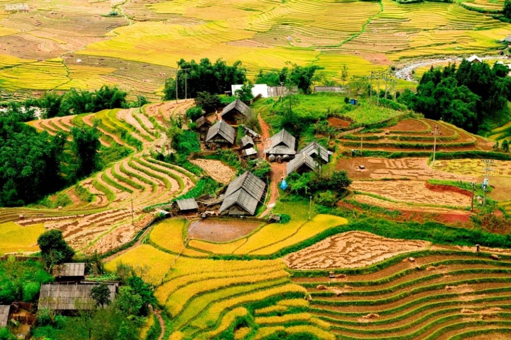 From Hanoi: Sapa 3-Day Medium Trek and Limousine Trip | ®ExcursionMania
