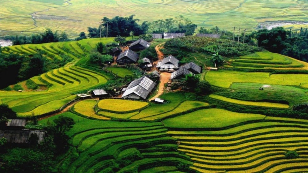 From Hanoi: Sapa 3-Day Medium Trek and Limousine Trip | ®ExcursionMania