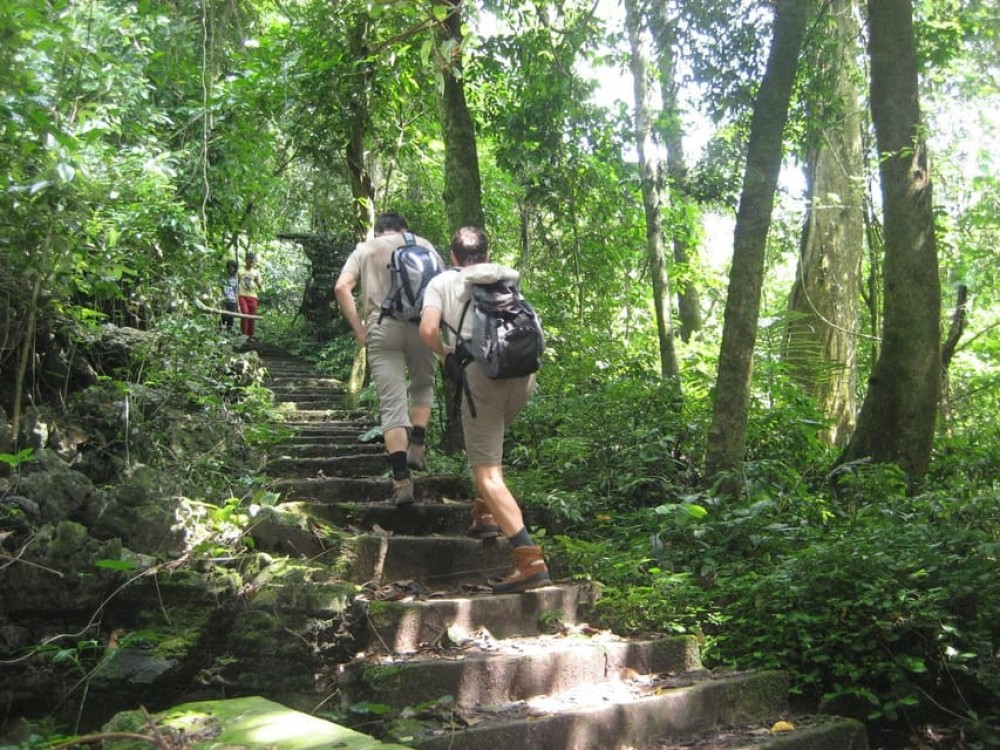Private Day Tour: Cuc Phuong National Park from Hanoi | ®ExcursionMania