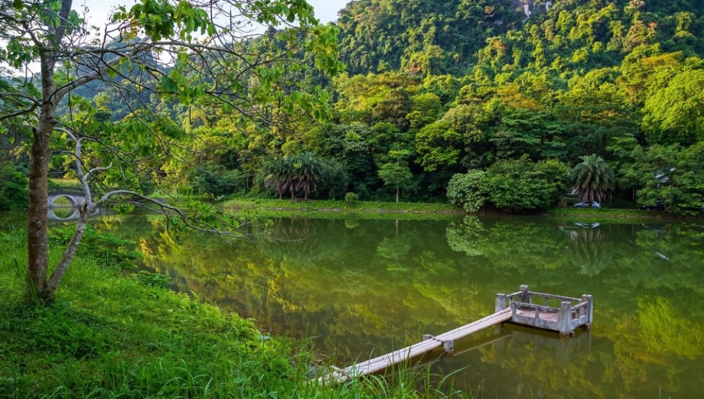 Private Day Tour: Cuc Phuong National Park from Hanoi | ®ExcursionMania