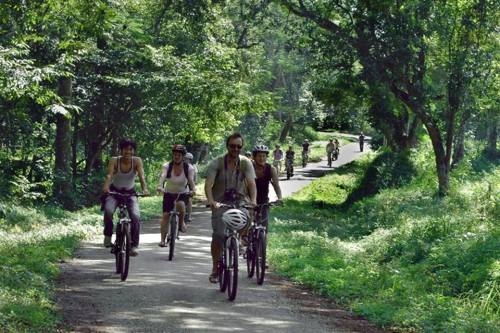 Private Day Tour: Cuc Phuong National Park from Hanoi | ®ExcursionMania