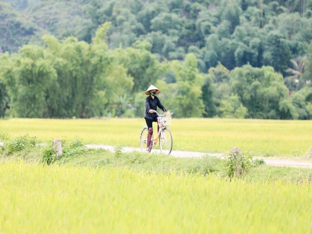 From Hanoi: Mai Chau Valley & Hill Tribes 2-Day Trek Tour | ®ExcursionMania