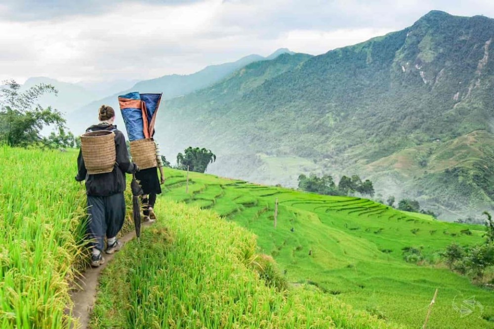 From Hanoi: 2-Day Overnight Sapa Tour By Limousine | ®ExcursionMania