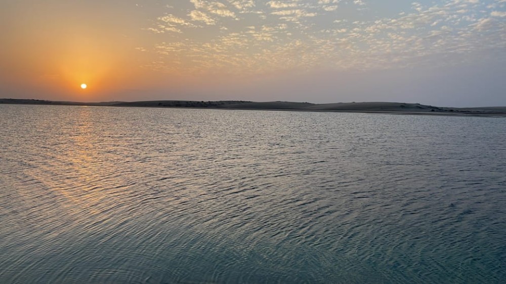From Doha: Sunrise or Sunset Safari with Sand Boarding | ®ExcursionMania