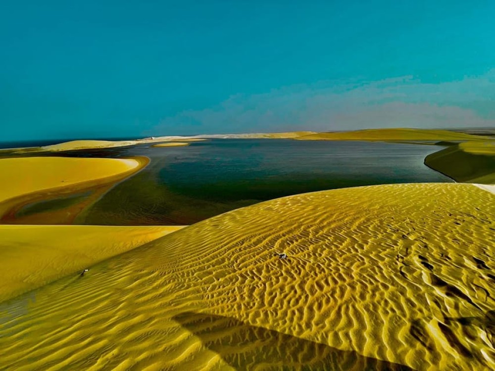 From Doha: Sunrise or Sunset Safari with Sand Boarding | ®ExcursionMania