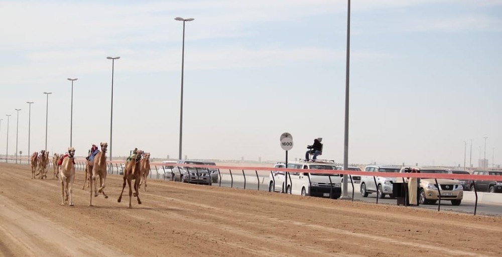 Doha: Richard Serra Sculpture, Zekreet and West Coast Tour | ®ExcursionMania
