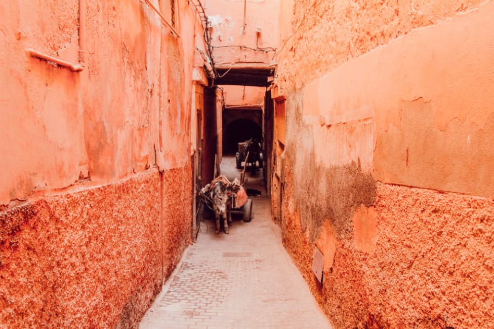 Marrakech: Customized Guided Walking Tour | ®ExcursionMania