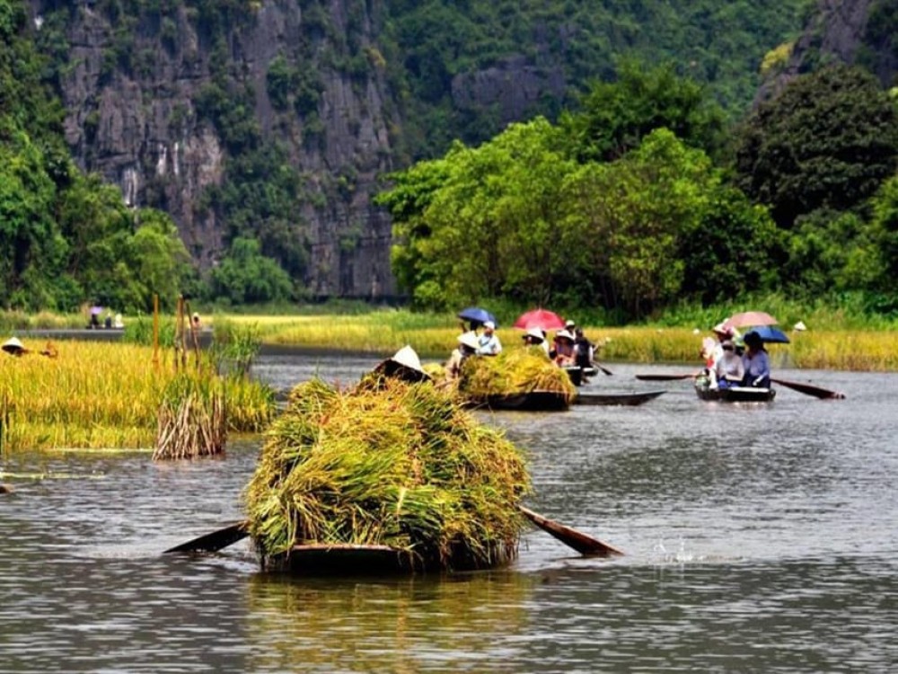 From Hanoi: Ninh Binh & Cuc Phuong National Park 2-Day Tour | ®ExcursionMania