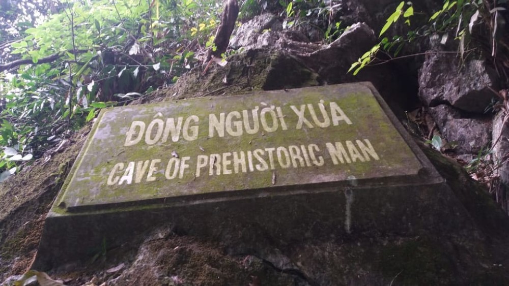 From Hanoi: Ninh Binh & Cuc Phuong National Park 2-Day Tour | ®ExcursionMania
