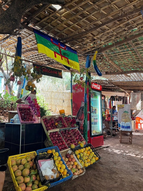 From Marrakech : Day Trip To Ouzoud waterfalls Small Group Tour | ®ExcursionMania