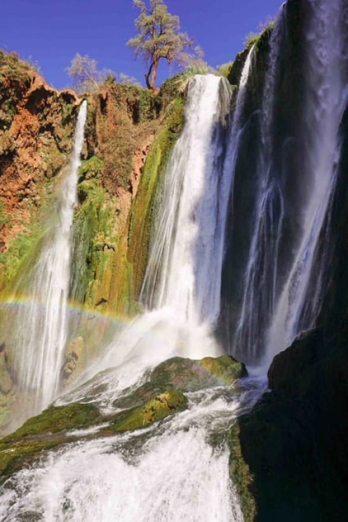 Full day Ouzoud Waterfalls Day tour & Guided Walk | ®ExcursionMania