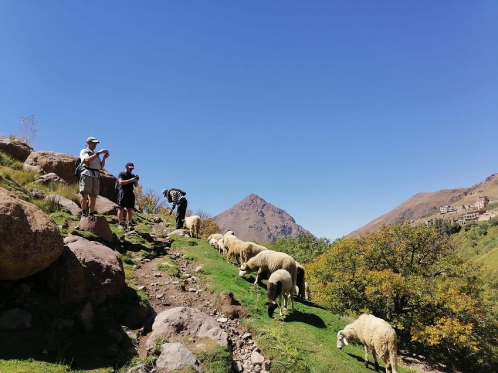 Atlas Mountains & Desert Camel Ride and Waterfall with Guide | ®ExcursionMania