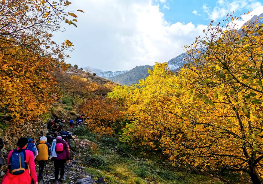 Atlas Mountains & Desert Camel Ride and Waterfall with Guide | ®ExcursionMania