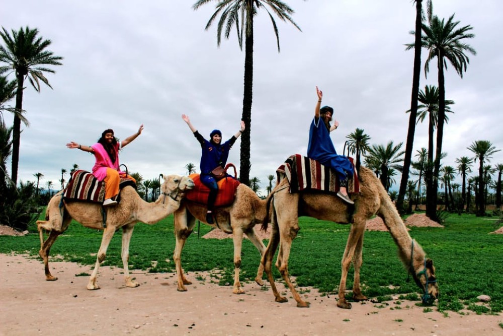 Atlas Mountains & Desert Camel Ride and Waterfall with Guide | ®ExcursionMania