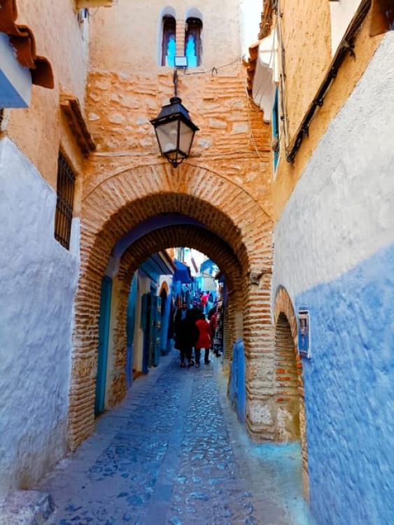 From Fez: Chefchaouen Day Trip with Driver with Group Of 8 | ®ExcursionMania