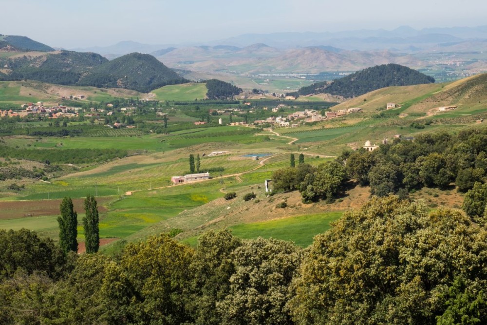 From Fez: Middle Atlas Ifran and Forest of Monkeys Day Trip | ®ExcursionMania