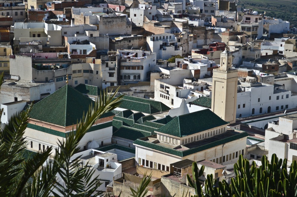 From Fez: Middle Atlas Ifran and Forest of Monkeys Day Trip | ®ExcursionMania