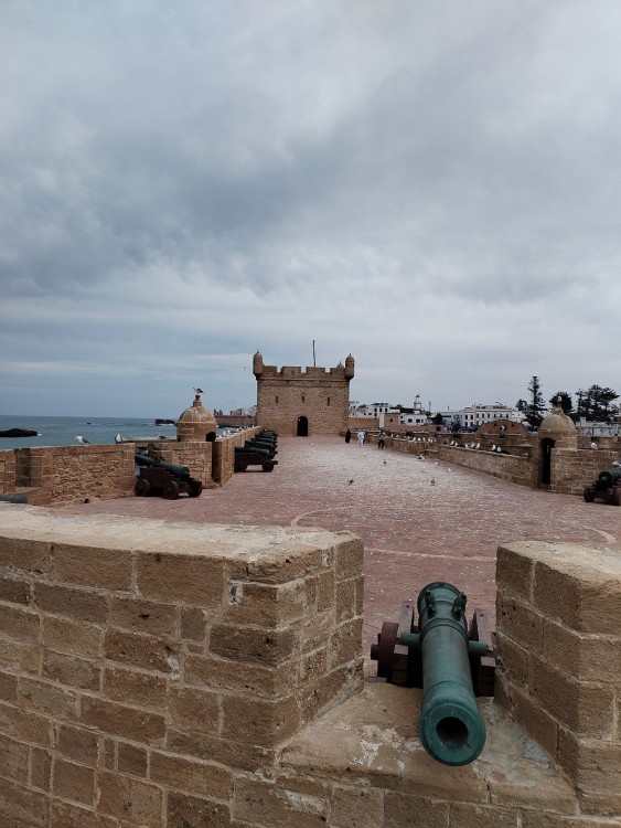 Small-group Day Trip to Essaouira from Marrakech | ®ExcursionMania