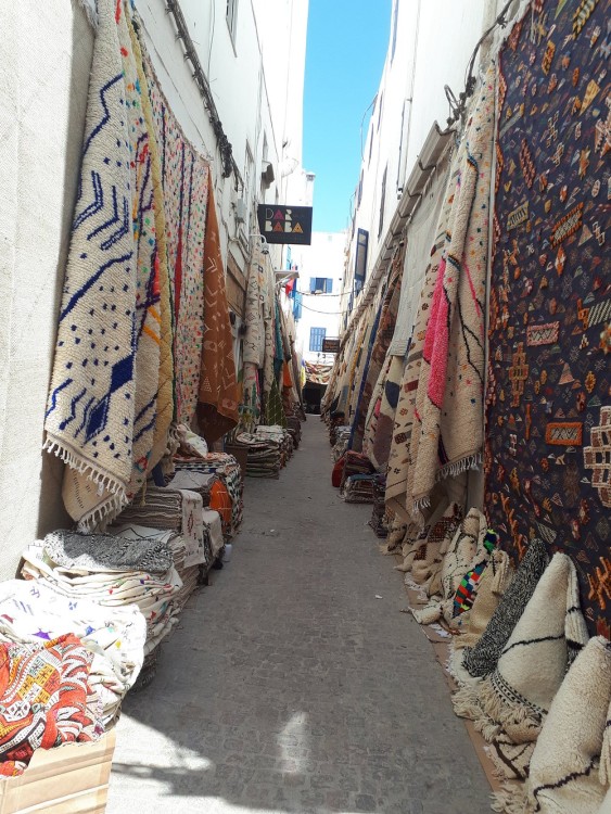 Small-group Day Trip to Essaouira from Marrakech | ®ExcursionMania