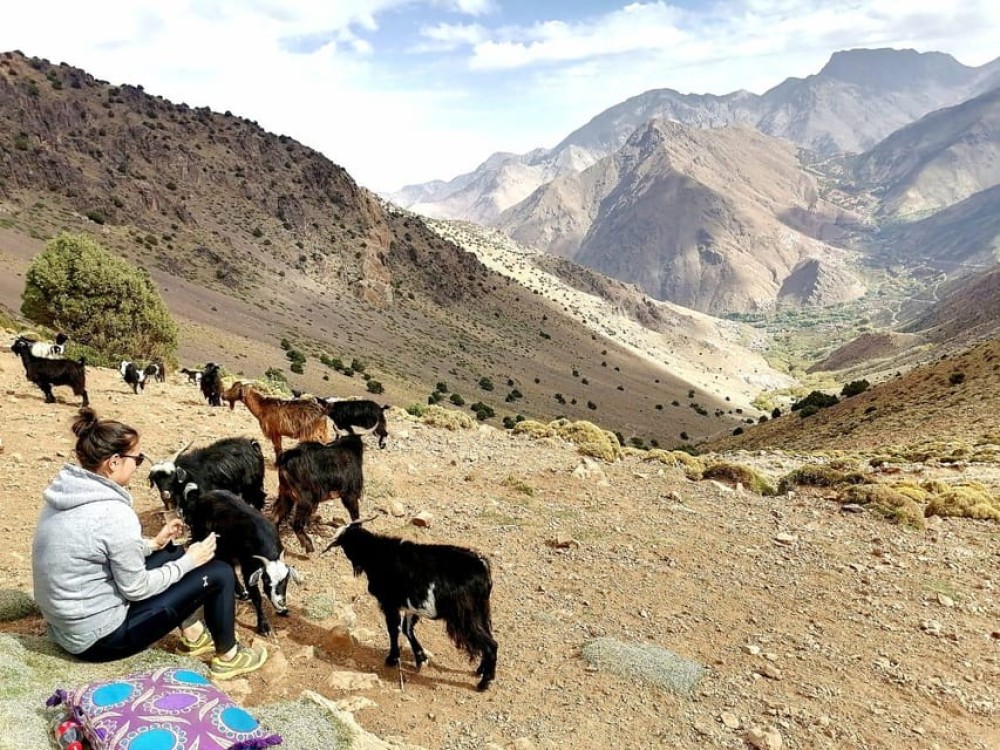 Explore the Atlas 3 Valleys and Desert Camel Ride with Guide | ®ExcursionMania