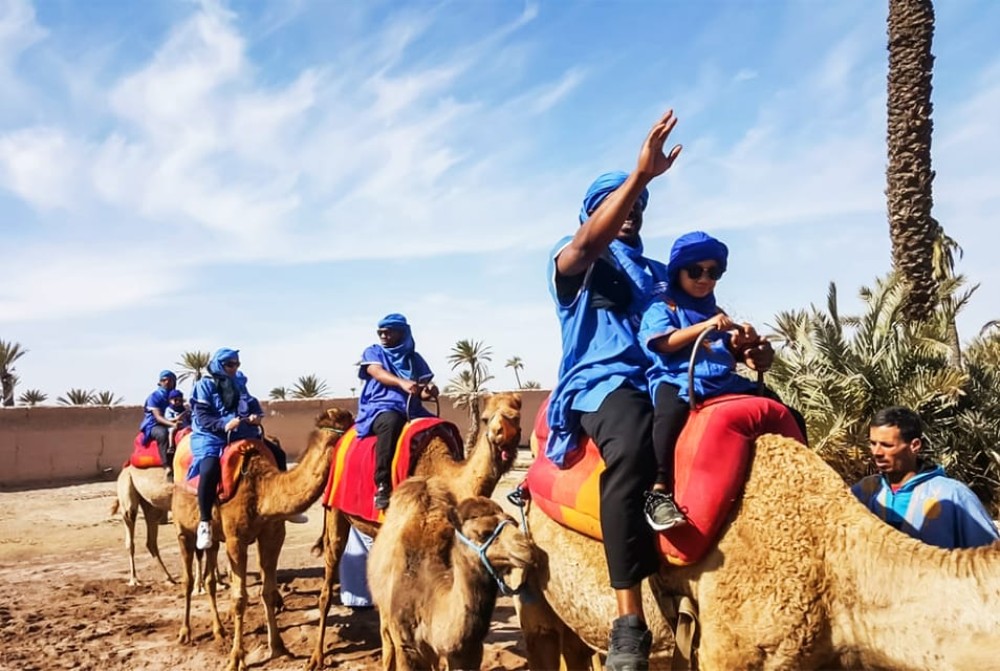 Marrakech activities: Camel ride tour Marrakech | ®ExcursionMania