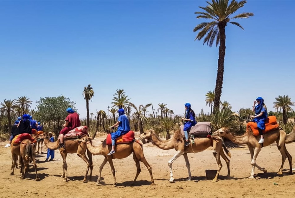 Marrakech activities: Camel ride tour Marrakech | ®ExcursionMania