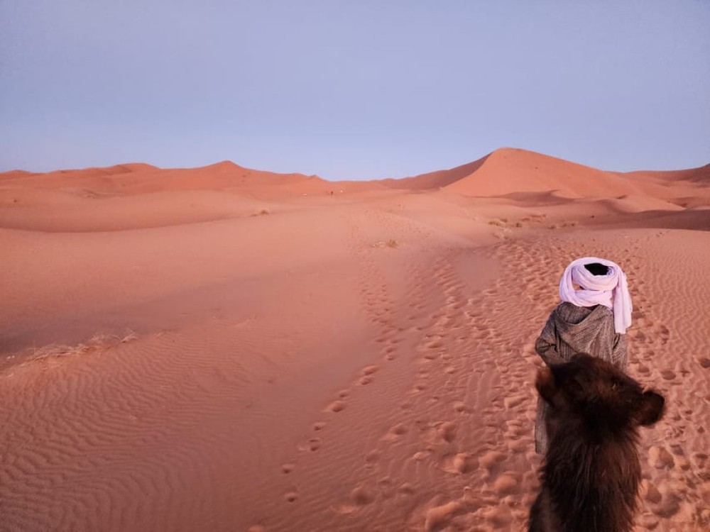 Marrakech to Merzouga: Unforgettable 2-Day Desert in a Small Group | ®ExcursionMania
