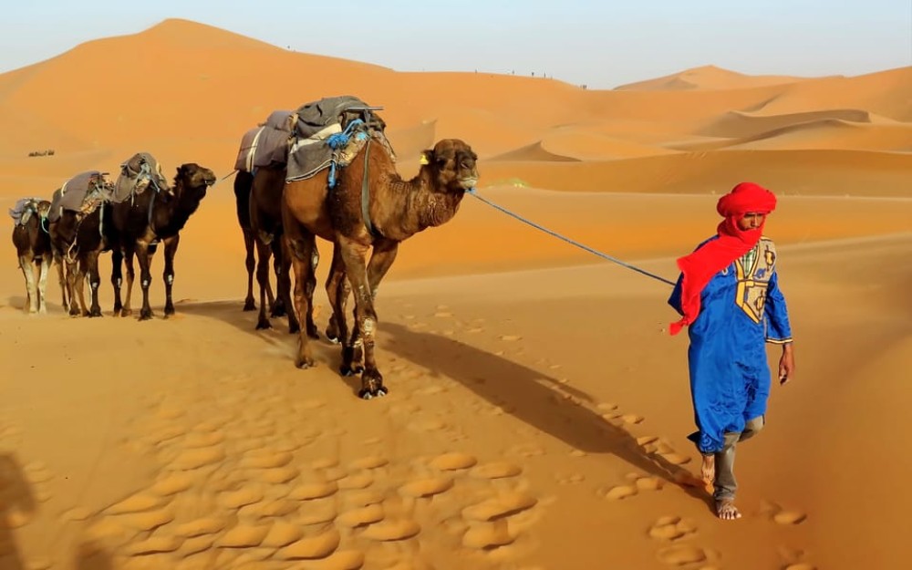 5 Days Combined Atlas Mountains & Valley and Sahara Desert | ®ExcursionMania