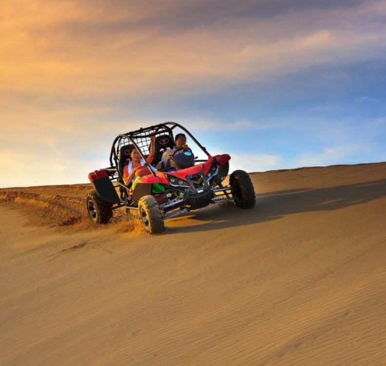 From Doha: Experience Bedouin Style Camel Safari | ®ExcursionMania