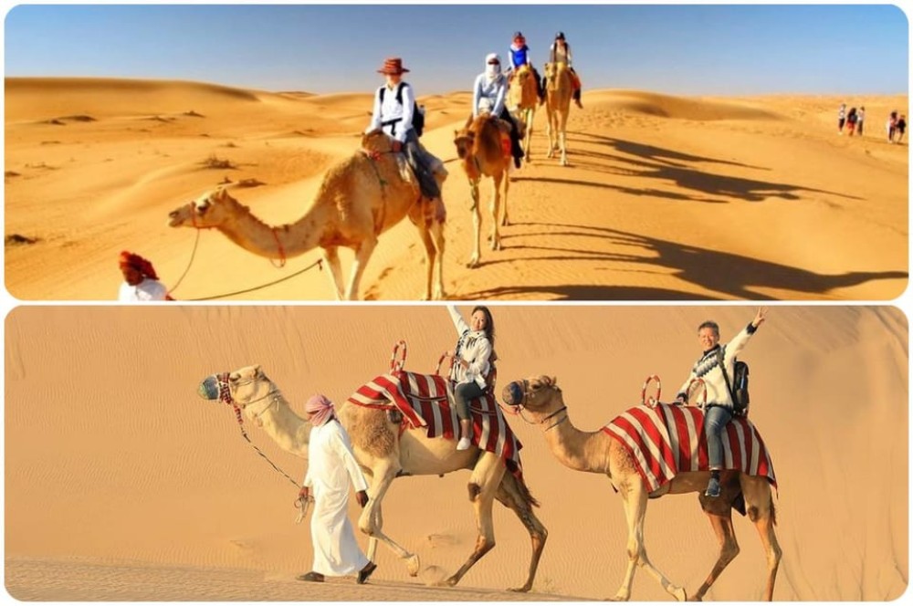 From Doha: Experience Bedouin Style Camel Safari | ®ExcursionMania