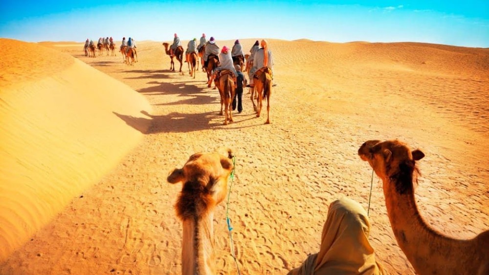 From Doha: Experience Bedouin Style Camel Safari | ®ExcursionMania