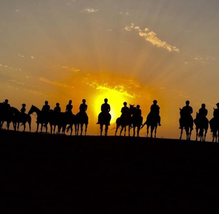 Doha Private Horse Riding Tour With Transfer | ®ExcursionMania