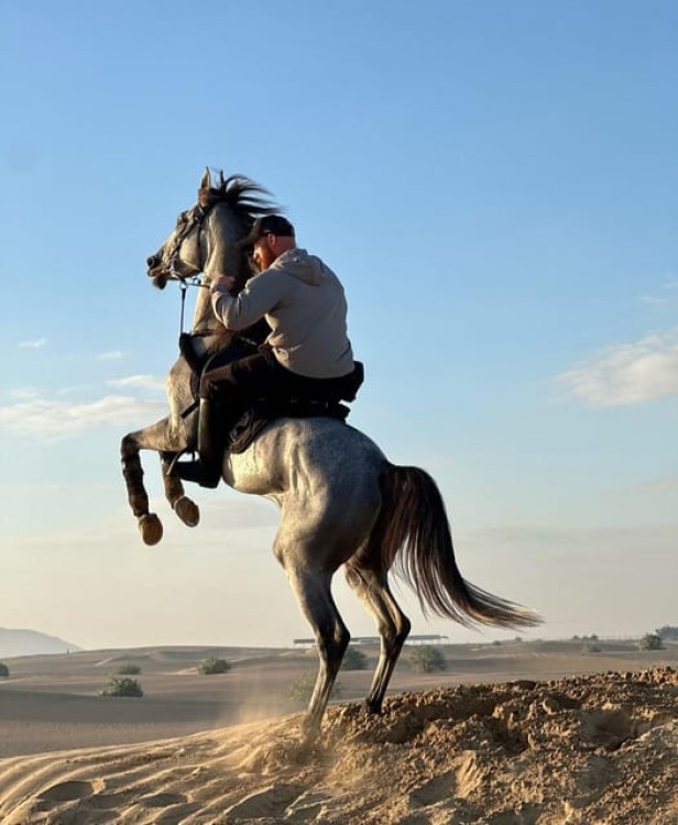 Doha Private Horse Riding Tour With Transfer | ®ExcursionMania