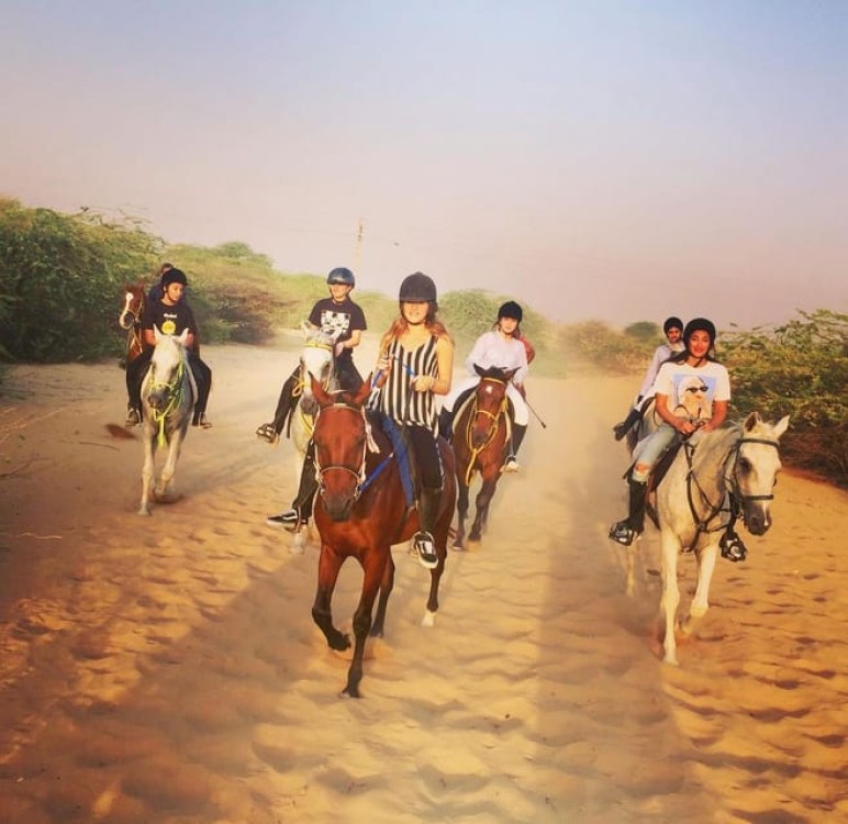 Doha Private Horse Riding Tour With Transfer | ®ExcursionMania