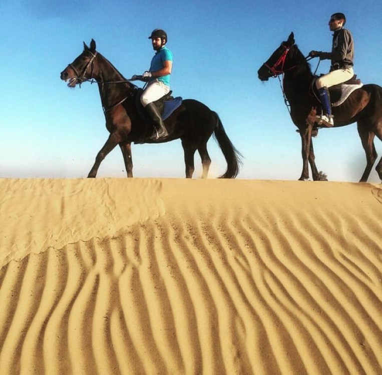 Doha Private Horse Riding Tour With Transfer | ®ExcursionMania