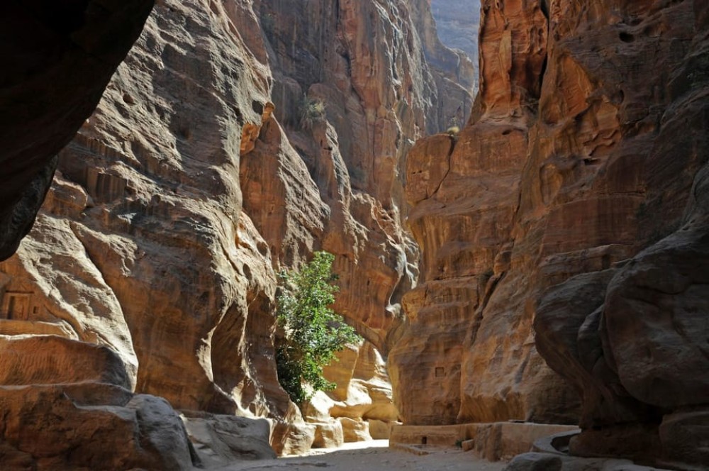 From Amman: Private Day Tour to Petra & Wadi Rum | ®ExcursionMania