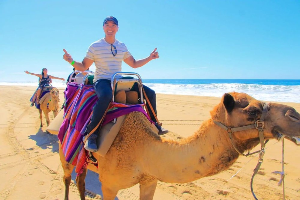 Tangier: Private City Tour | ®ExcursionMania