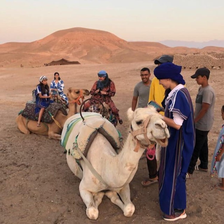 Marrakech: Agafay Desert Quad & Camel Rides with Dinner Show | ®ExcursionMania