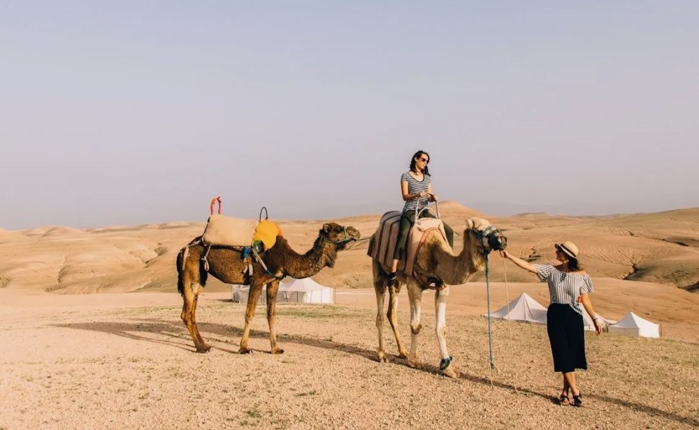 Marrakech: Agafay Desert Quad & Camel Rides with Dinner Show | ®ExcursionMania