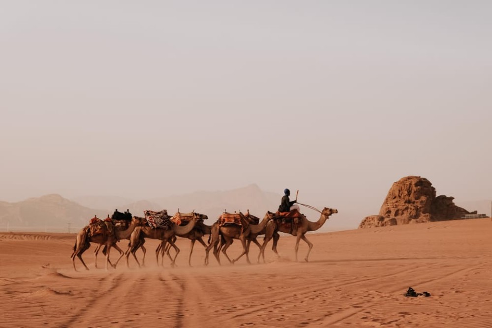 From Amman: Petra, Wadi Rum And Dead Sea Private 3-Days Tour | ®ExcursionMania